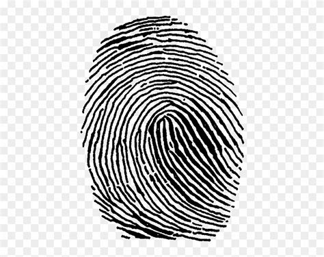 Fingerprint - Fingerprint Clip Art - Free Transparent PNG Clipart ...