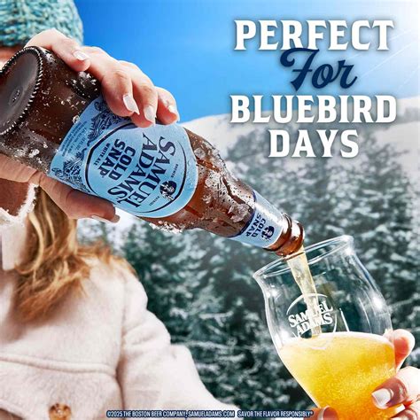 Samuel Adams Cold Snap White Ale Seasonal Beer, 6 pk Bottles - Shop ...