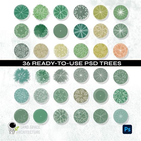 Premium Top View Landscape Plan Tree Brushes and PSD Trees - Personal ...