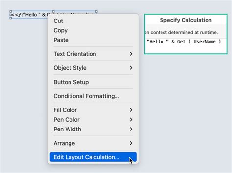 FileMaker Charts Forms 的图像结果