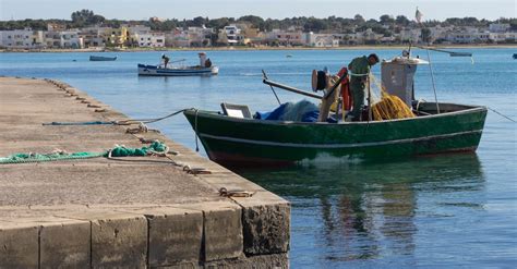 How to Use Local WordPress 的图像结果