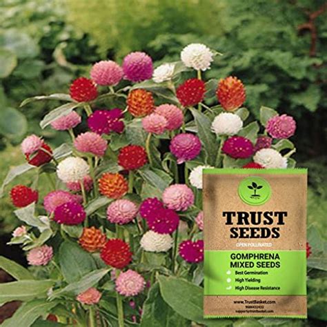 Amazon.in Hot New Releases: The bestselling new and future releases in ...