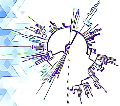 Genetic epidemiology of novel and emerging pathogens in India