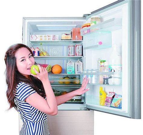 夏天冰箱溫度調到幾度最合適，怎麼調最省電？你要的答案在這裡 - 每日頭條