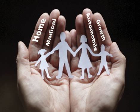 Functions of Insurance Class 12 Commerce 的图像结果