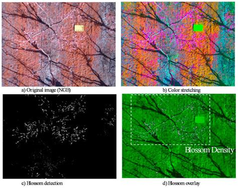 J. Imaging | March 2017 - Browse Articles