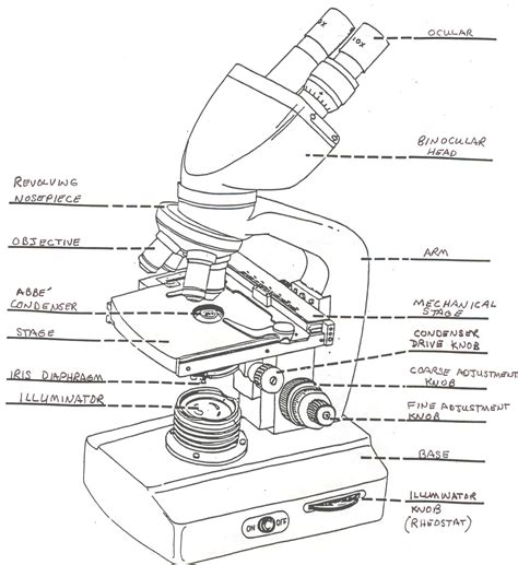 Image result for Compund Microscope