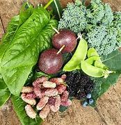 Image result for grow food