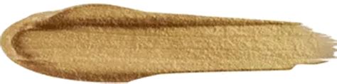 Buy L.A GIRL PRO CONCEAL - CHAMPAGNE Online & Get Upto 60% OFF at PharmEasy