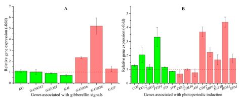Transcriptional Controls for Early Bolting and Flowering in Angelica ...