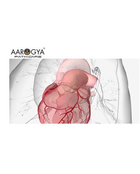 Aarogya Pathcare: Full Body Checkup 89 Test @ 999/- Book Now