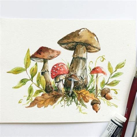 Watercolor Autumn Mushrooms, 209 West Main St., Elkin, NC, 12 September ...