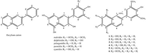 Experimental and Computational Studies on Bio-Inspired Flavylium Salts ...