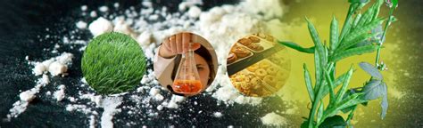 Guar Gum Powder Application in Water Treatment Plant