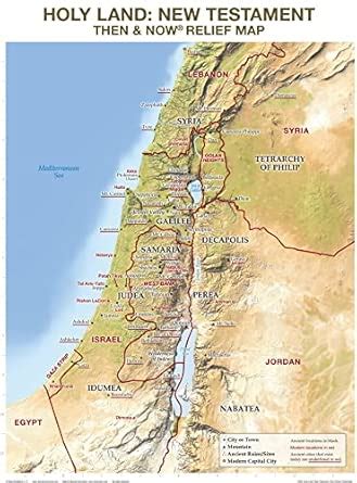 Buy Holy Land: New Testament: Then and Now Relief Map (Charts) Book ...