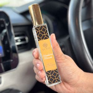 Buy car fresheners in india Online at Low Price | EKAM