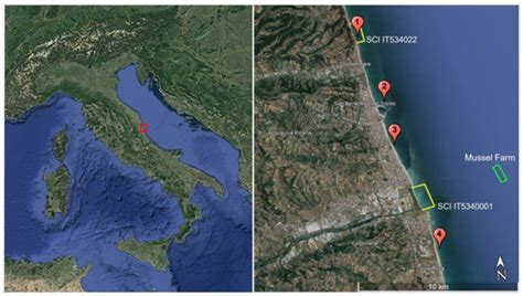 Mass Mortality Event of Mediterranean Mussels (Mytilus ...