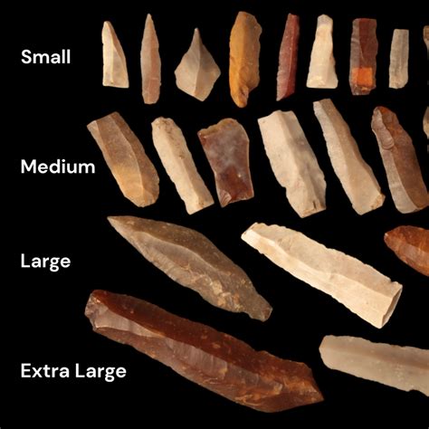 Stone Age History 的图像结果