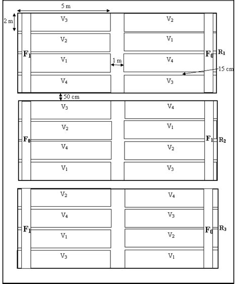 Image result for Split Split-Plot Layout