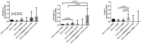 Application of Multilayer Evidence for Annotation of C-Terminal BRCA2 ...