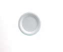 Biodegradable Plates - 6 Inch Biodegradable Round Plate Trader ...
