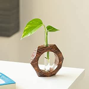 ExclusiveLane 'Honeycomb Glass Garden' Test Tube Planter for Home Decor ...