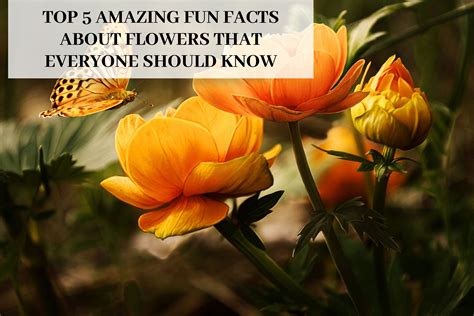 What Are Some Facts About Flowers at Leroy Gonzales blog