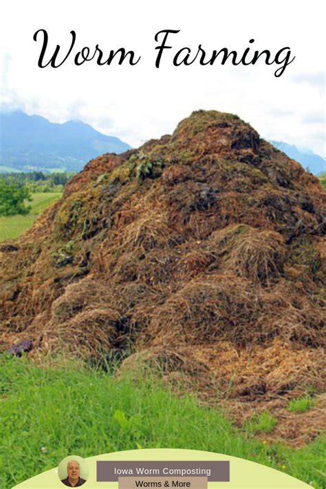 Worm Farming Business 的图像结果