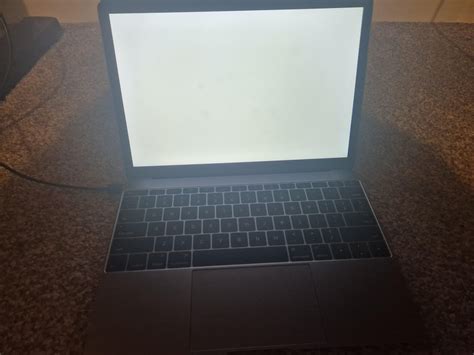 2015 retina macbook stuck on white screen : r/applehelp