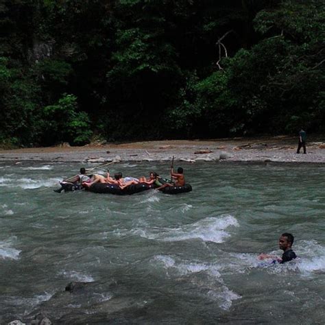 WA NGAH BUKIT LAWANG (Sumatra) - Lodge Reviews, Photos, Rate Comparison ...