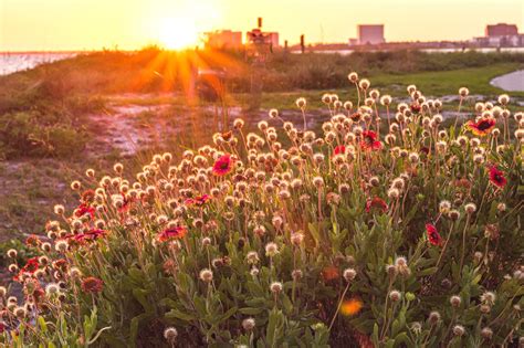 Cypress Point Park in Tampa - Scenic Activity and Seclusion - Go Guides