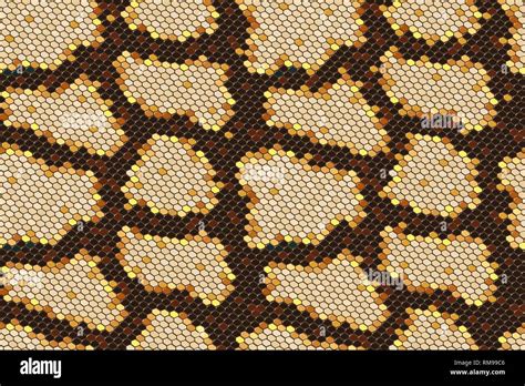 Image result for Python Skin Background