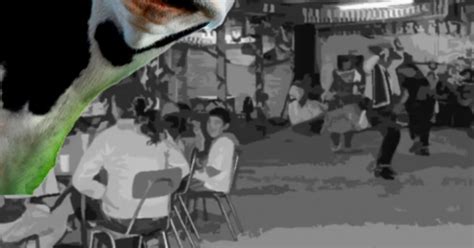 La historia del rodeo en Chile - La Tercera