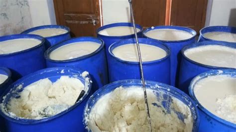 Adulterated Desi Ghee set to be Smuggled in a Milk Tanker, Caught - Pannu