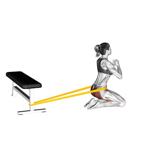 Elevated Glute Bridges: Muscles Worked, and More - Inspire US