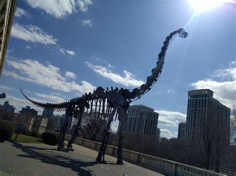 Brachiosaurus – Audio guide by iSchool Student | tmatic.travel