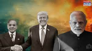 India NOT Pakistan, 'Bad Advice' Affecting India-US Ties: Congressman ...