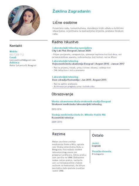 Image result for CV Examples