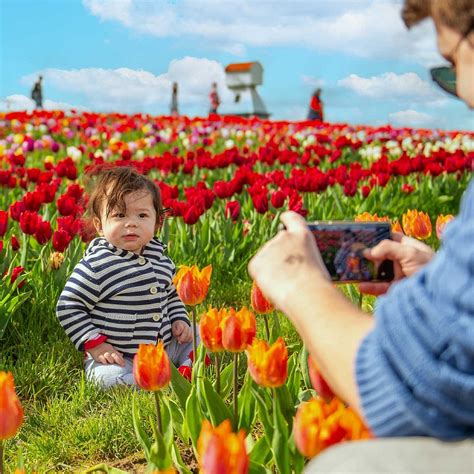 TULLEYS TULIP GARDEN - WARWICKSHIRE (2026) All You Need to Know BEFORE ...