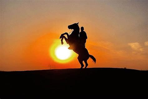 DUBAI DESERT HORSE RIDE EXPERIENCE (2026) All You Need to Know BEFORE ...