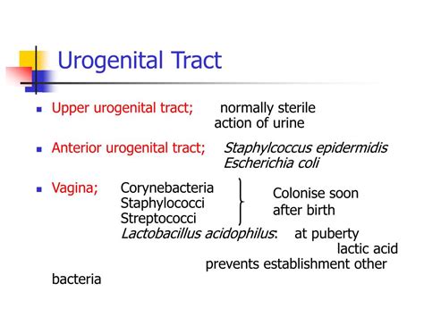 What Is A Mixed Urogenital Flora at Christopher Bryant blog
