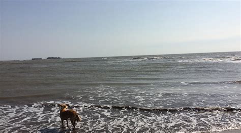 VARSOLI BEACH (2025) All You Need to Know BEFORE You Go (with Photos ...