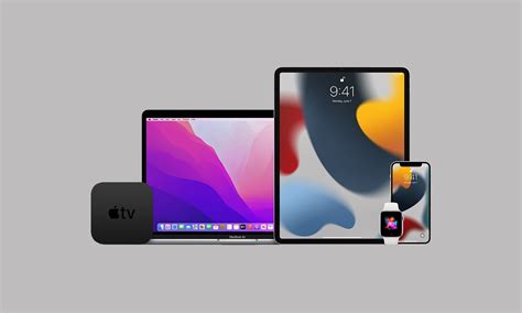 Apple Beta Program 的图像结果