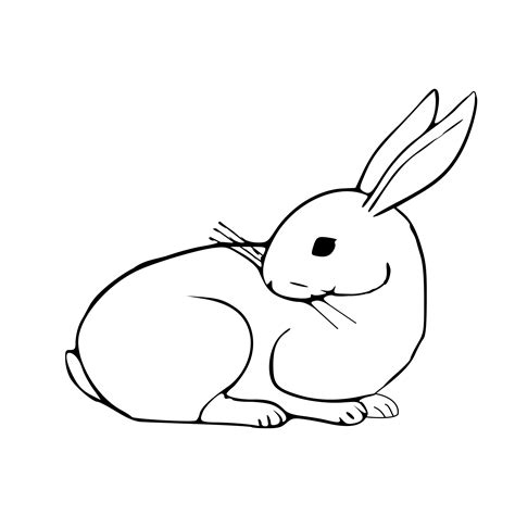 Easter Bunny Line Drawing at PaintingValley.com | Explore collection of ...