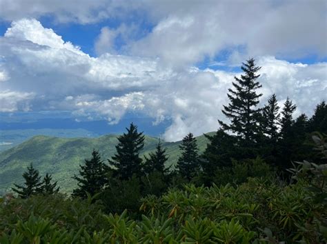 Weather on Mount LeConte in Great Smoky Mountains National Park, July ...
