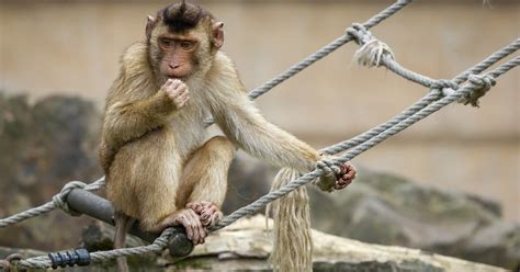 Maharashtra Man Dies by Falling Into 500-Feet Gorge While Taking Selfie ...