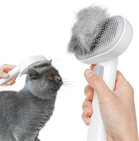 Amazon.com: PawSwing AutoComb Automatic Cat Self Groomer, 360° Surround ...