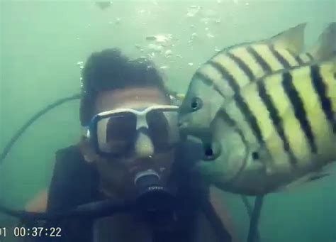 THE 10 BEST Places to Visit in Malvan - UPDATED 2022