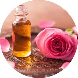 Roman Chamomile and Rose Soothing facial toner mist-100ml – Vanaura ...