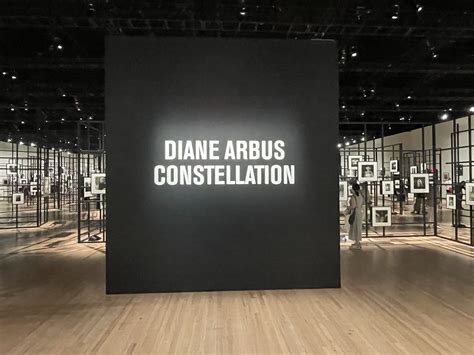 Diane Arbus: Constellation @Park Avenue Armory | Collector Daily